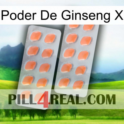 Ginseng Power X 27
